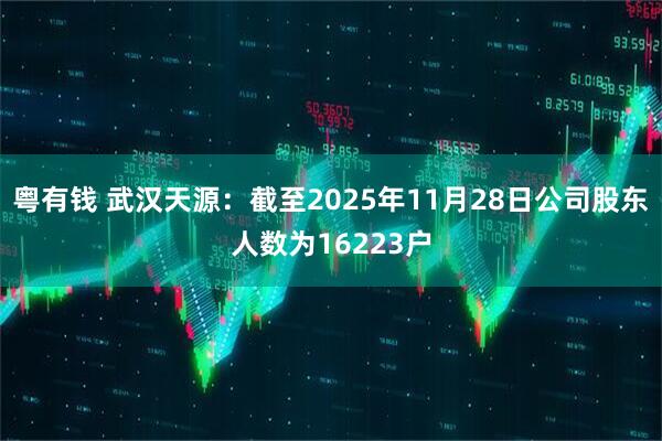 粤有钱 武汉天源：截至2025年11月28日公司股东人数为16223户