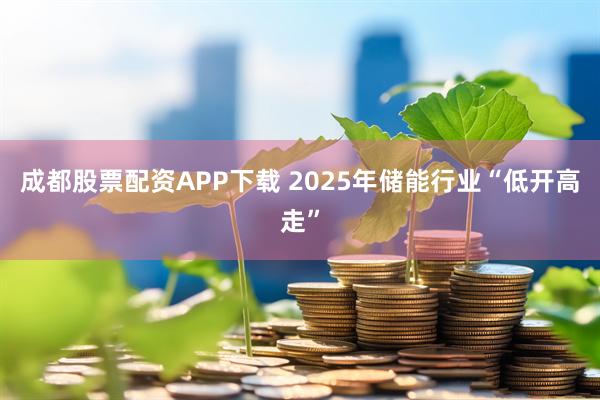 成都股票配资APP下载 2025年储能行业“低开高走”