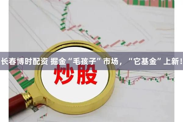 长春博时配资 掘金“毛孩子”市场，“它基金”上新！