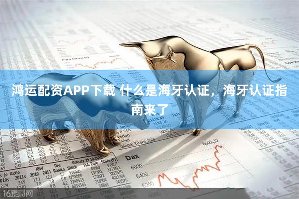 鸿运配资APP下载 什么是海牙认证，海牙认证指南来了